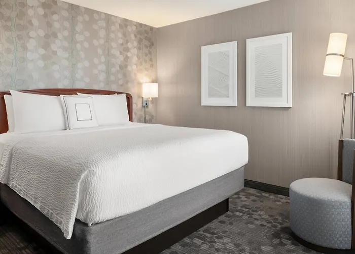 Hotel Courtyard By Marriott Chicago
